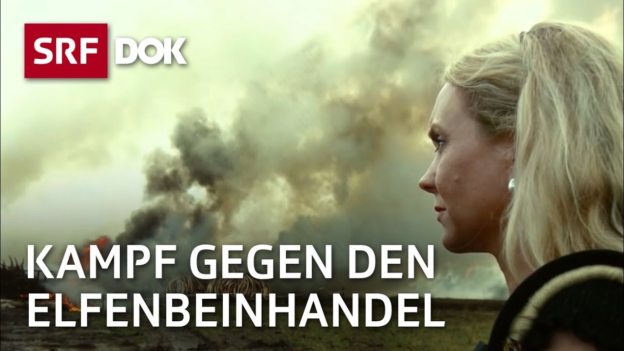 Vera Weber – Im Kampf gegen den Elfenbeinhandel | Fondation Franz Weber | Reportage | SRF