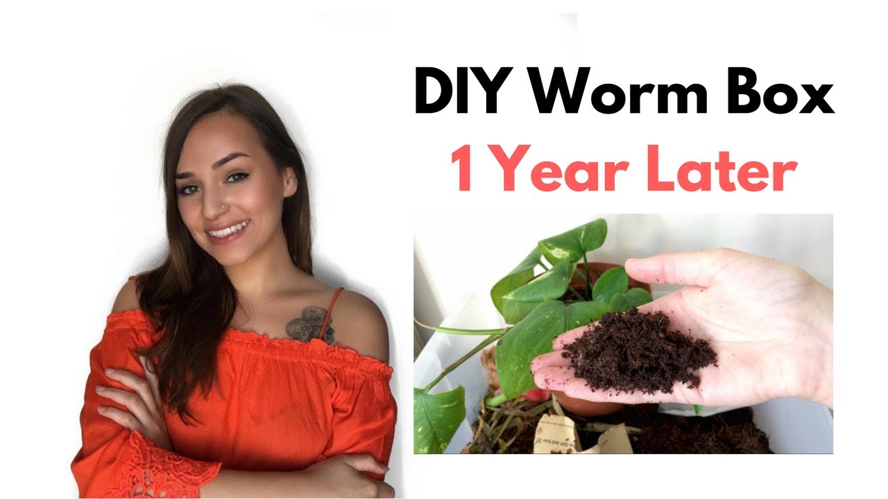 DIY Worm Bin 1 Year Update