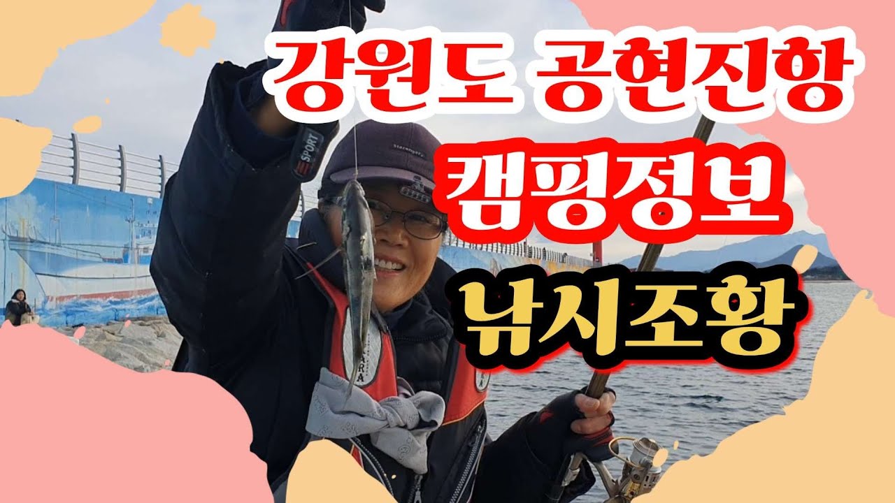 강원도 공현진항 캠핑정보 및 낚시조황#공현진항여행#동해안낚시#강원도캠핑낚시