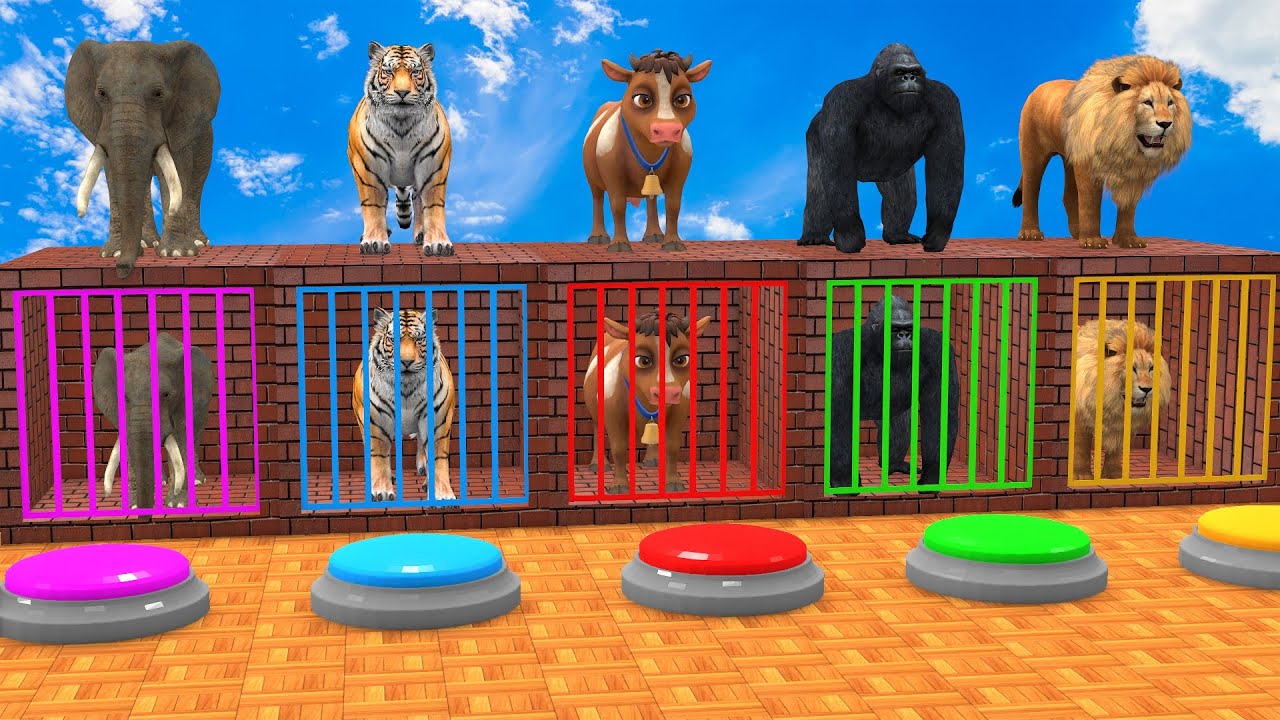 Long Slide Game With Cow Elephant Gorilla Hippopotamus Tiger 3d Animal Game Funny 3d Animals