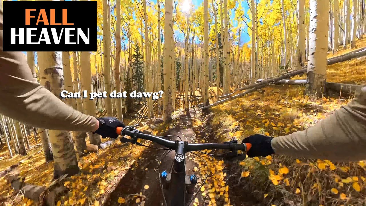 Fall Heaven | San Francisco Peaks Inner Basin | Mountain Biking Flagstaff Arizona