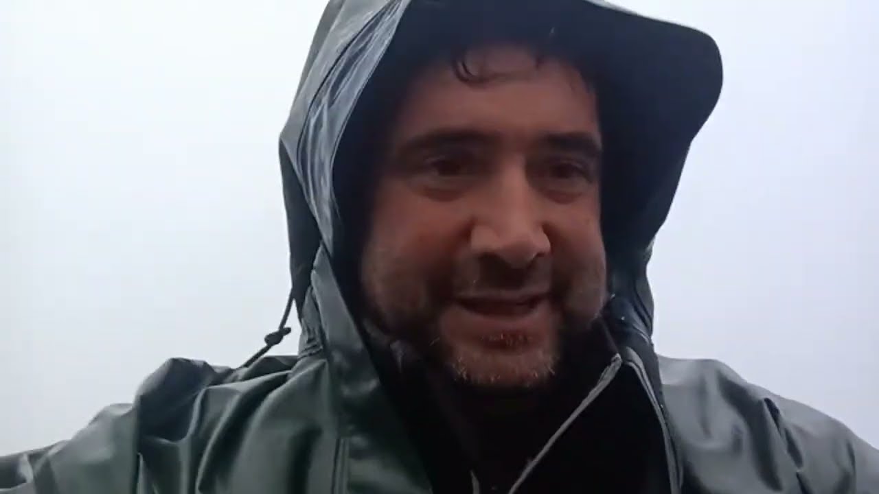 adjuntando vacas vamos a ver qué tal se da el lunes