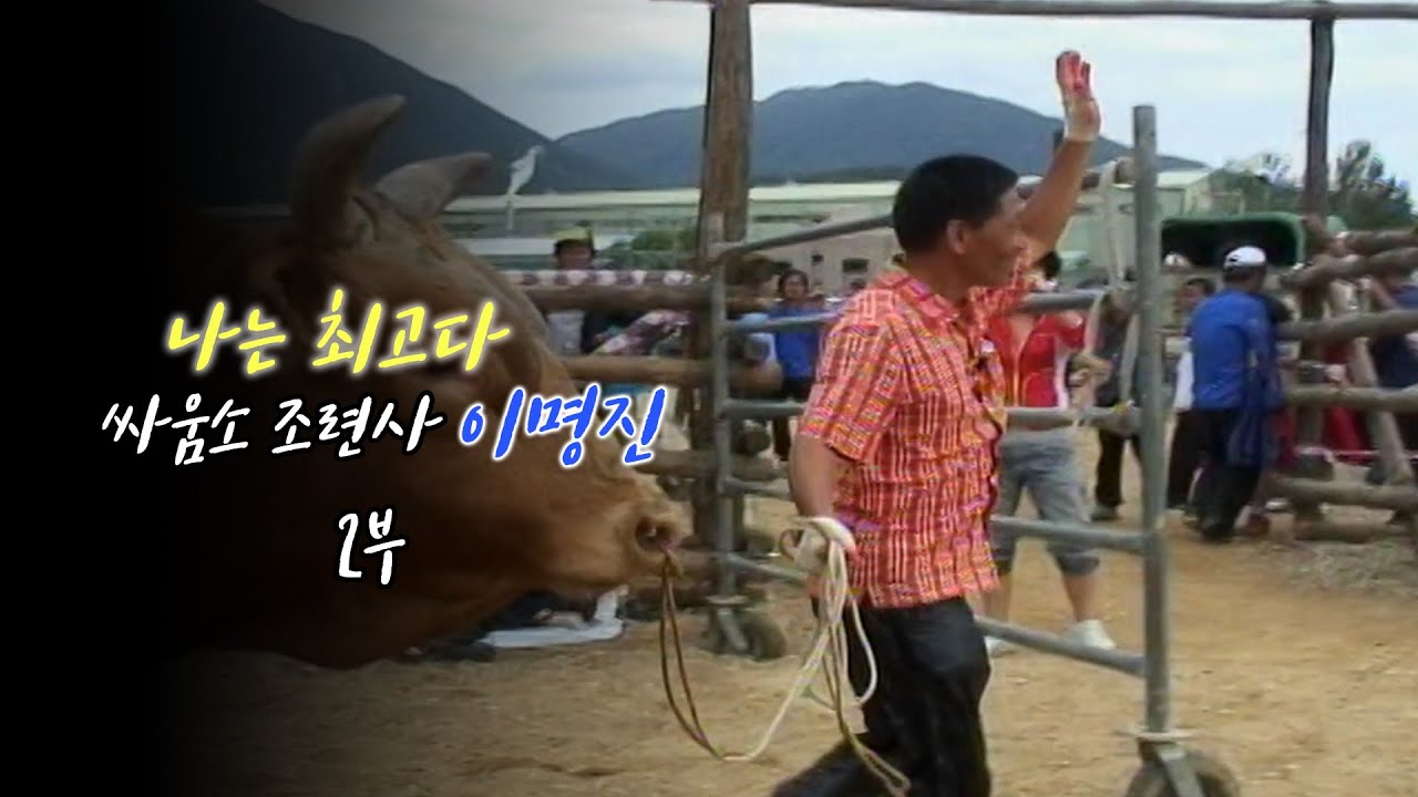 [타임캡슐속_85개조각] 나는 최고다 싸움소 조련사 이명진 2부 l 조각이 만드는 세상, 모자이크 (KBS 2011.09.22 방송)