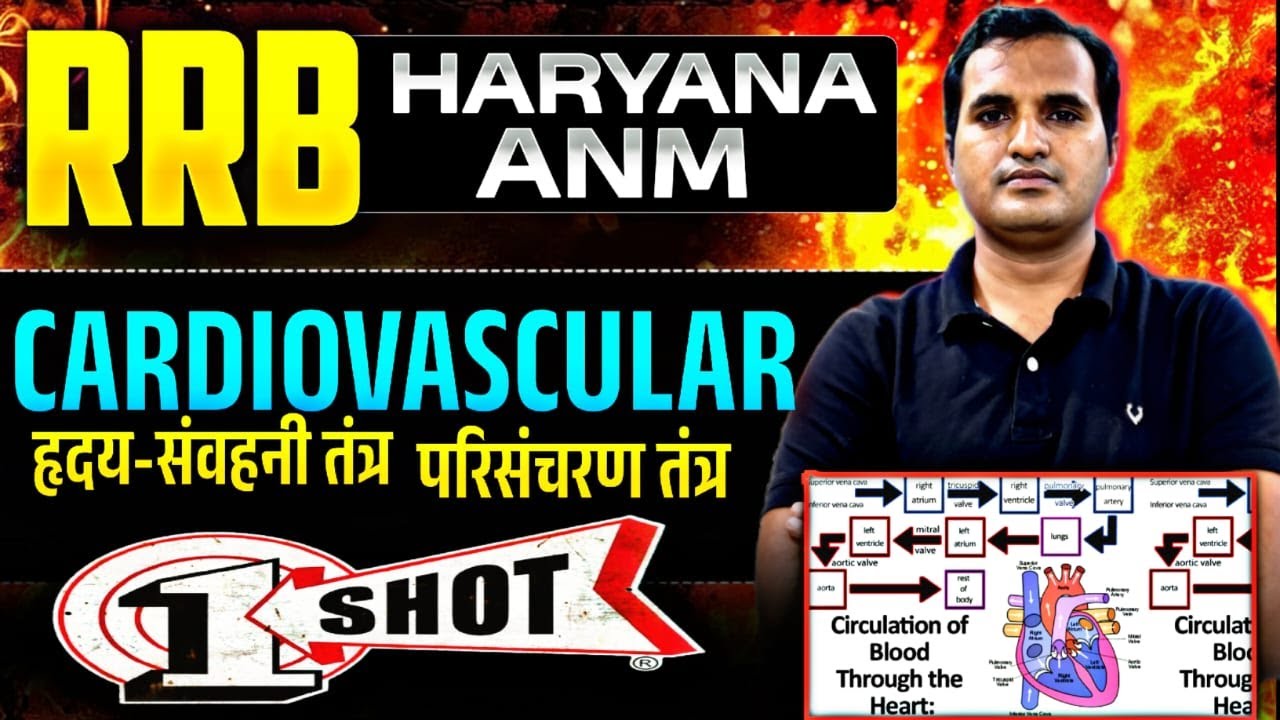 RRB и HARYANA ANM | Курсы повторения по сердечно-сосудистой системе | NORCET | Курсы CHO | Конкур...