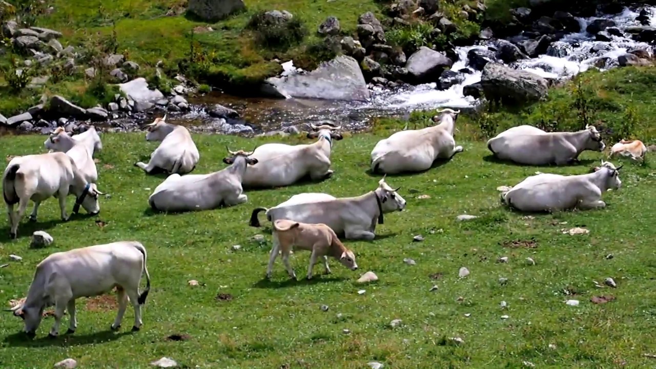 Crossing the Pyrenees