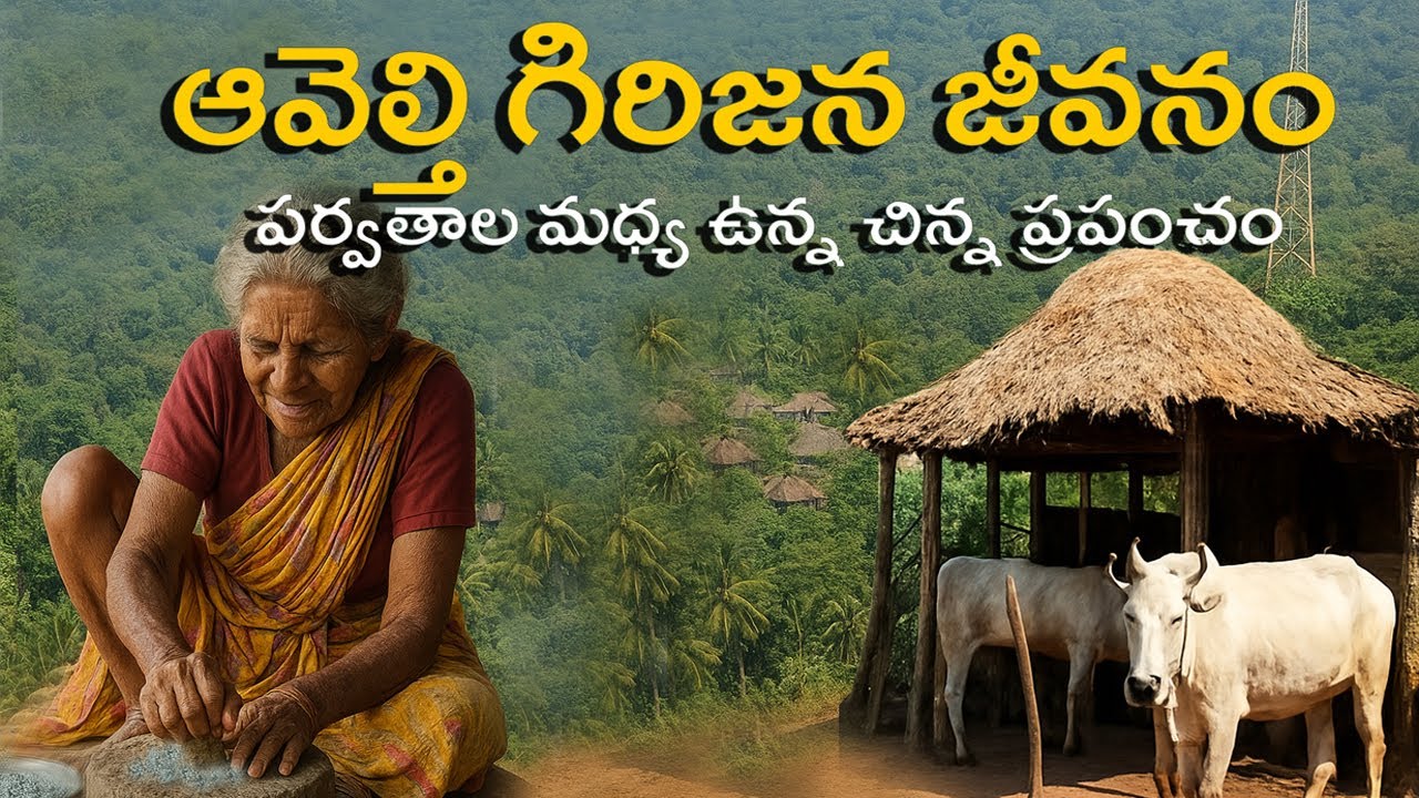 ఆవెల్తి  | Avethi Tribal Village Life | Traditional Stone Grinding & Culture  | Mana Nature Vlogs