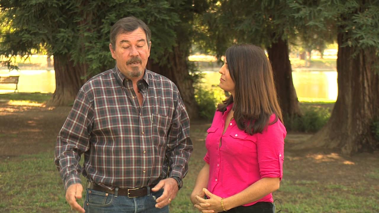 Working together in the Sacramento Valley