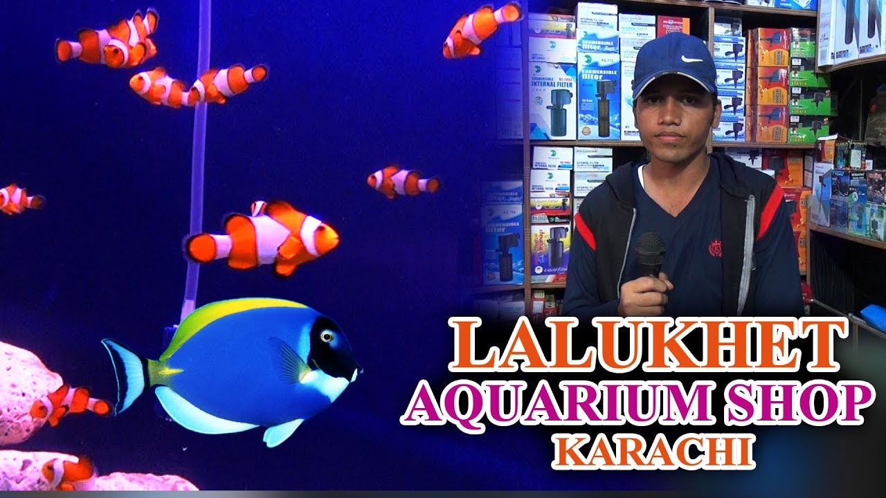 Lalukhet Fish Aquarium Shop Karachi Latest Updates (JAIC Video) in Urdu Hindi