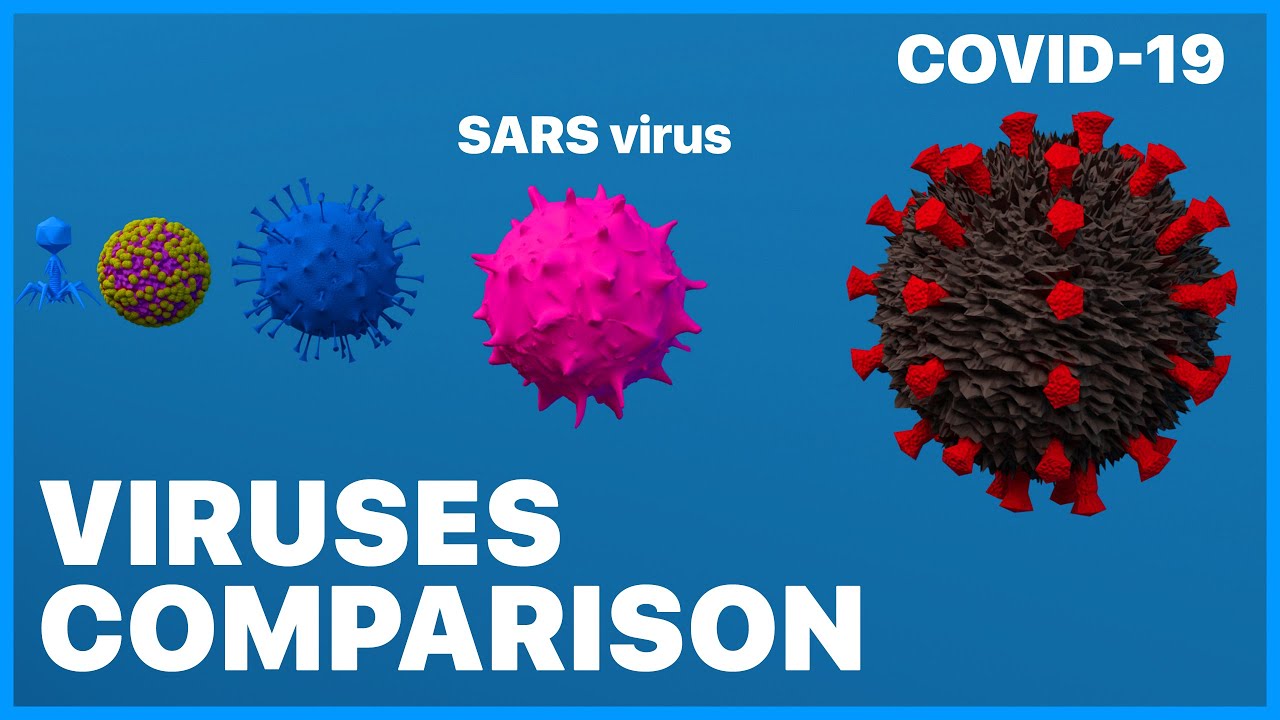 Viruses Size Comparison 2K (3D) &bull; 2020