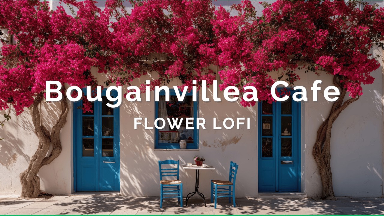 1 Hour Lofi Hip Hop 🎧 Relaxing Study Music ☀️ Bougainvillea Café Lofi 🌺 Sunny Chill Beats for Focus