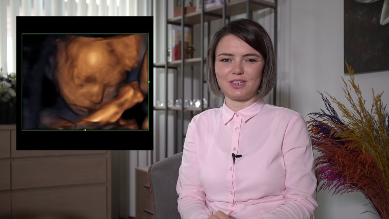 Hamilelikte 22. Hafta / Hamilelik Akademisi