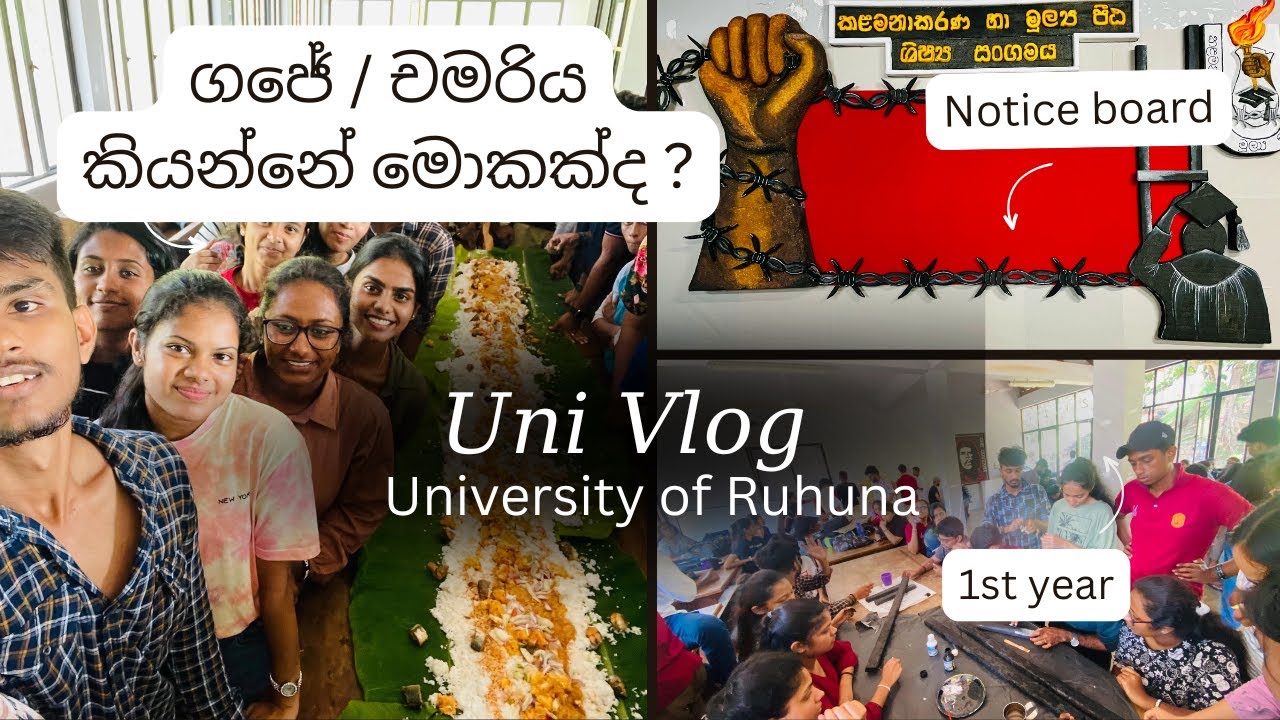 කැම්පස් එකේ ගජයක් / චමරියක් කියන්නේ මොකක්ද? 🫠 1st years ලා විදිහට කරපු පලවෙනි වැඩේ 👻🌝❤️