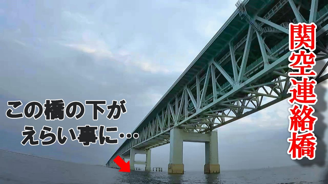ページ38　落とし込みで大爆釣‼　魚が湧きすぎてビビりました…