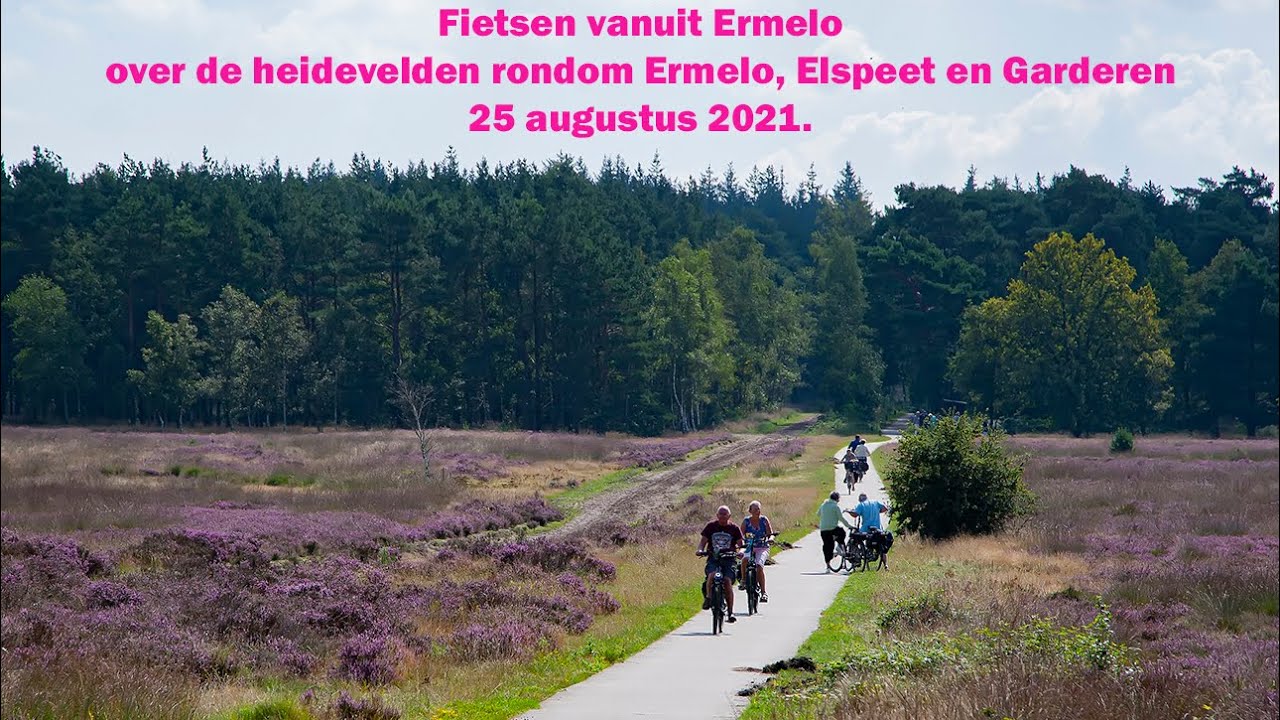 Bicycle tour from Ermelo over the heathland around Ermelo, Elspeet and Garderen.