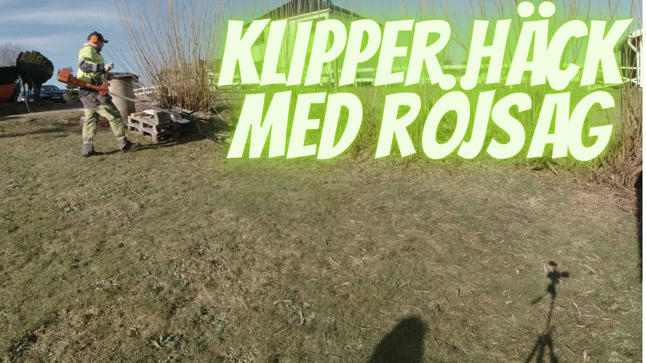 Klipper häcken med röjsåg