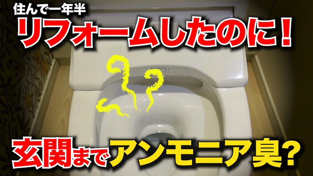 花お手上げ！？トイレ異臭問題…玄関まで臭うアンモニア臭の正体とは！【花のお掃除 #448】
