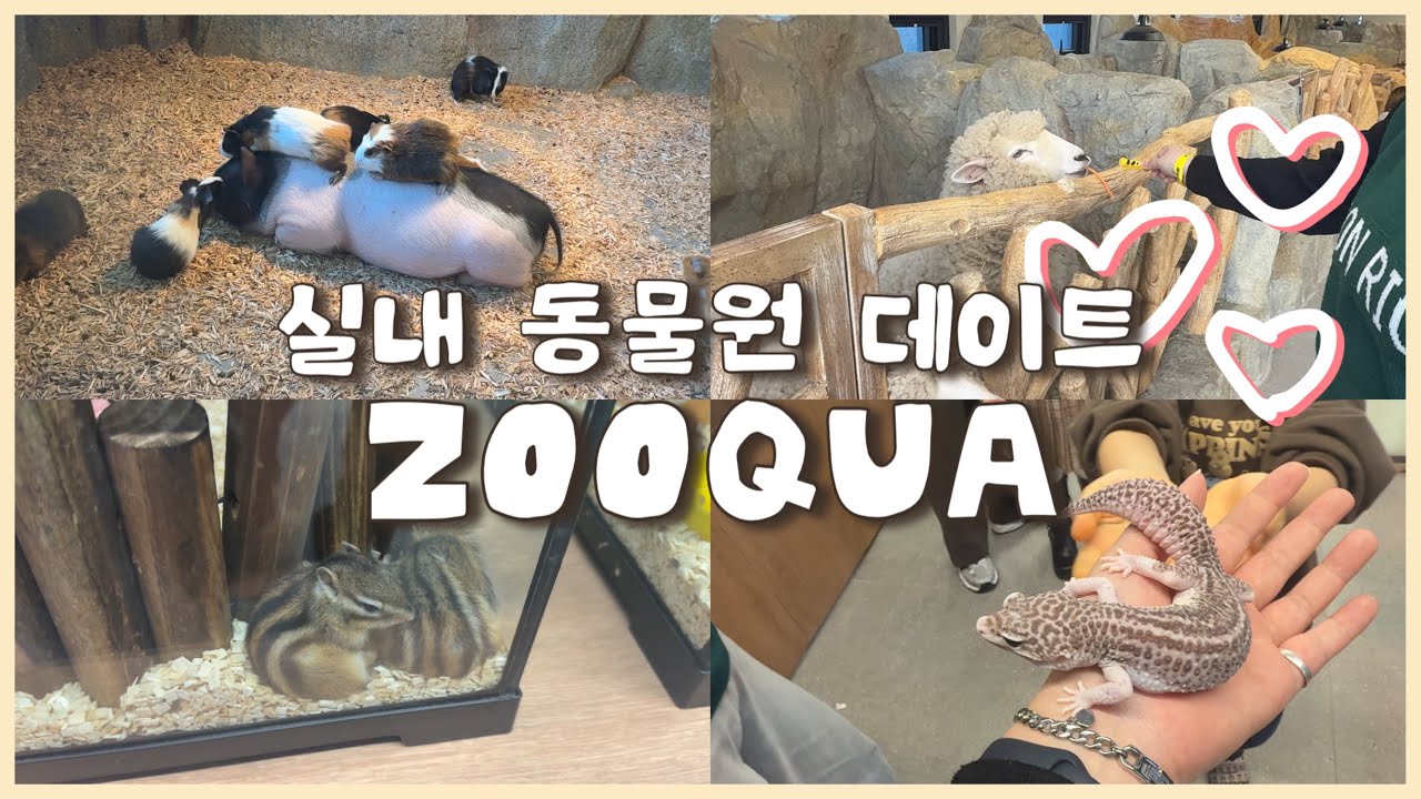 [VLOG] 김포 쥬쿠아 데이트ㅣ쩝쩝 돼지🐷부터 앵무새🦜한테 먹힐뻔한 썰까지 귀여움에 기절할 뻔💖
