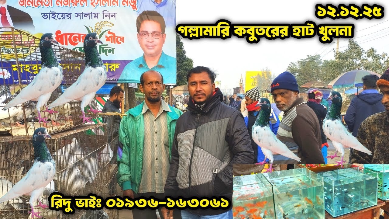 গল্লামারি কবুতরের হাট খুলনা। pigeon market in khulna gollamari। kobutorer hat khulna।