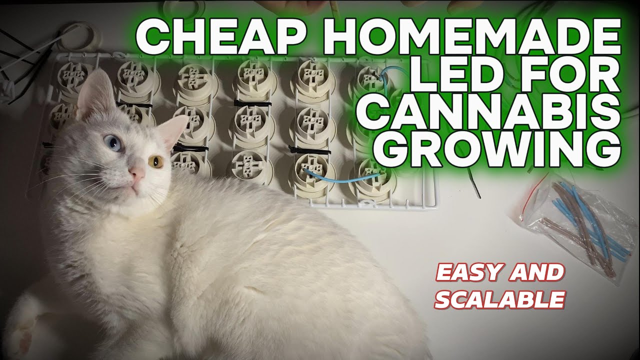 Cheap homemade LED lamp for Cannabis Growing