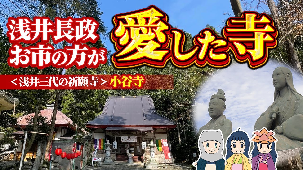 【浅井3姉妹が紹介 】織田信長に焼かれても檀家ゼロでも、本堂再建で頑張るお寺 #戦国武将を学べる寺 #戦国時代 #歴史 #日本史
