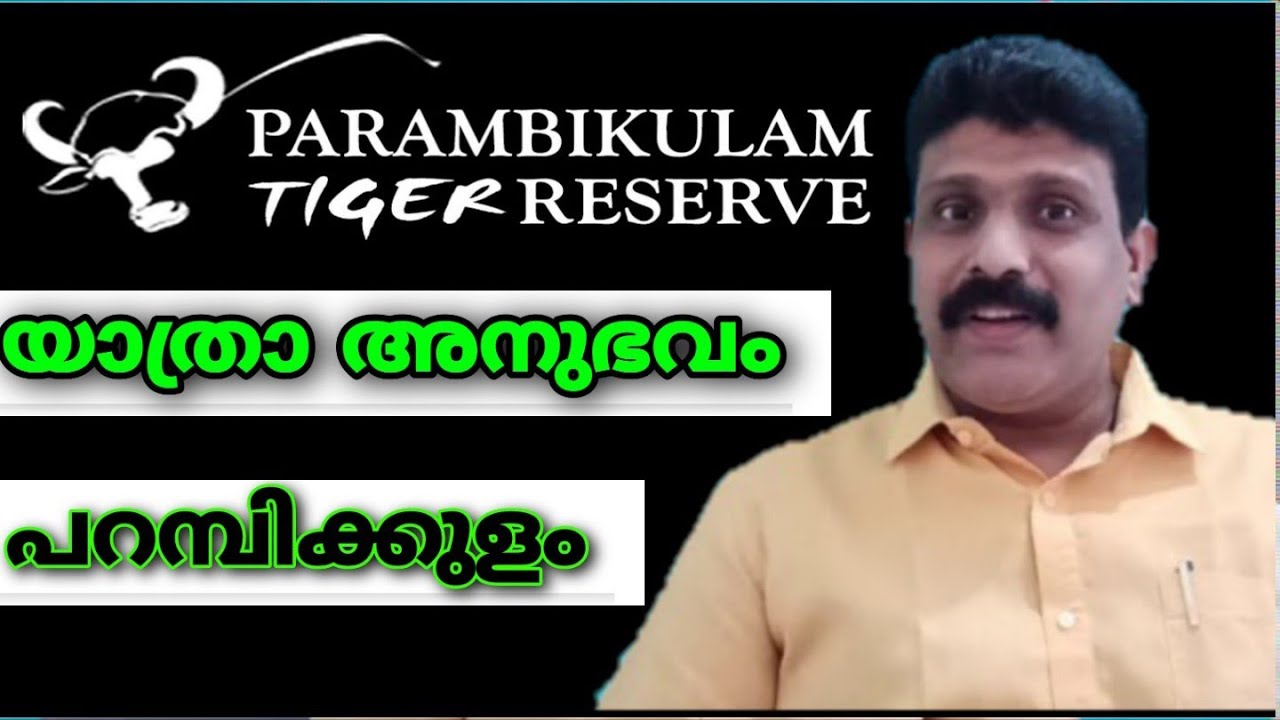 #Parimbikulam # naturecamp A Travel experience through parimbikulam