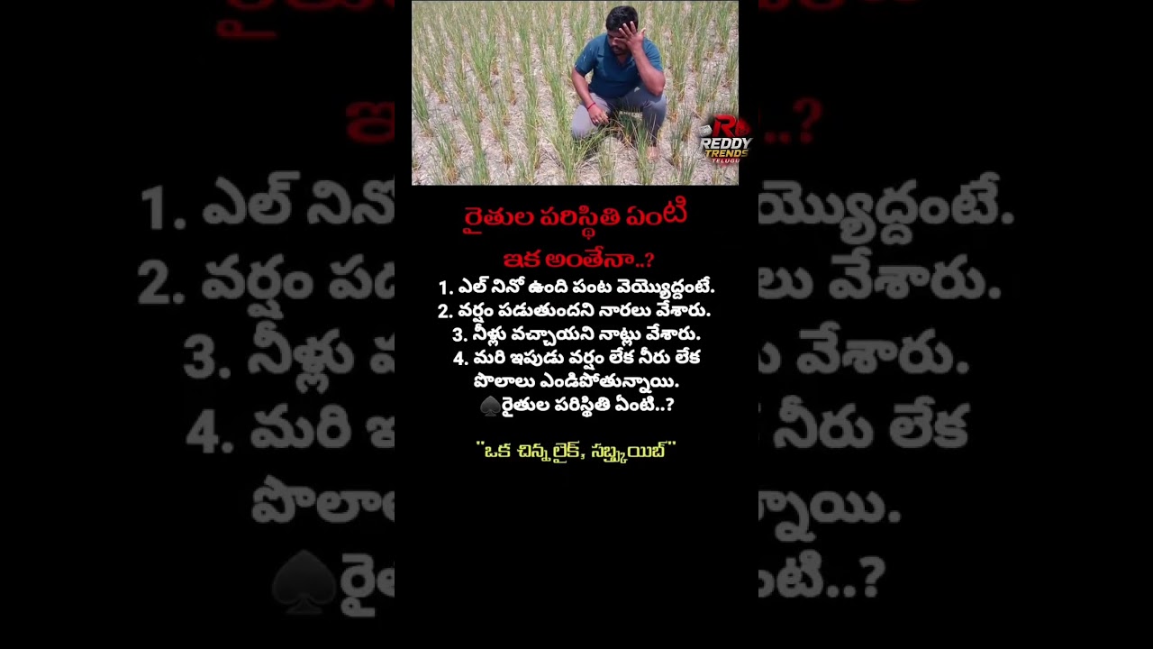 #APFarmers #FarmerIssues #CropLoss #Rainfall #Farming #IndianFarmers #BreakingNews