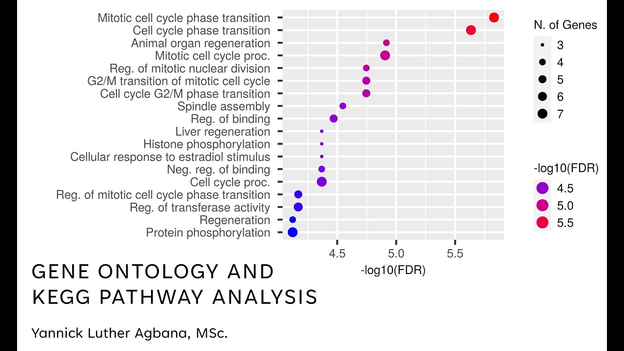 Network Pharmacology (Part 5): Gene Ontology Analysis and KEGG Pathway Analysis