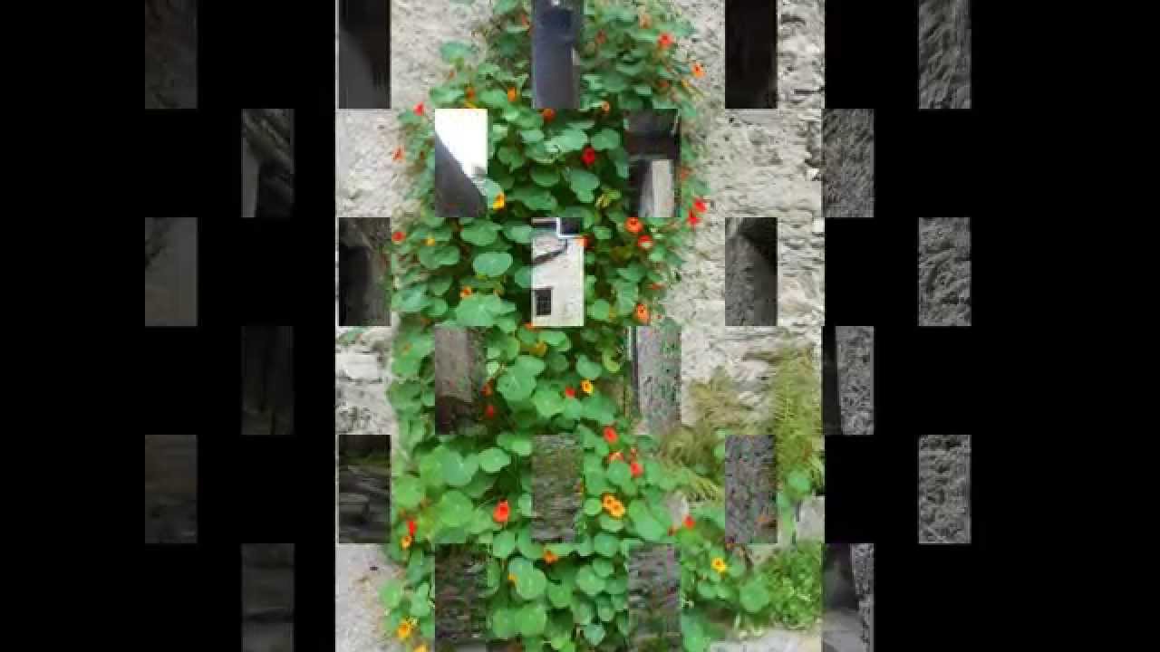 Sampeyre: Borgata Villaretto