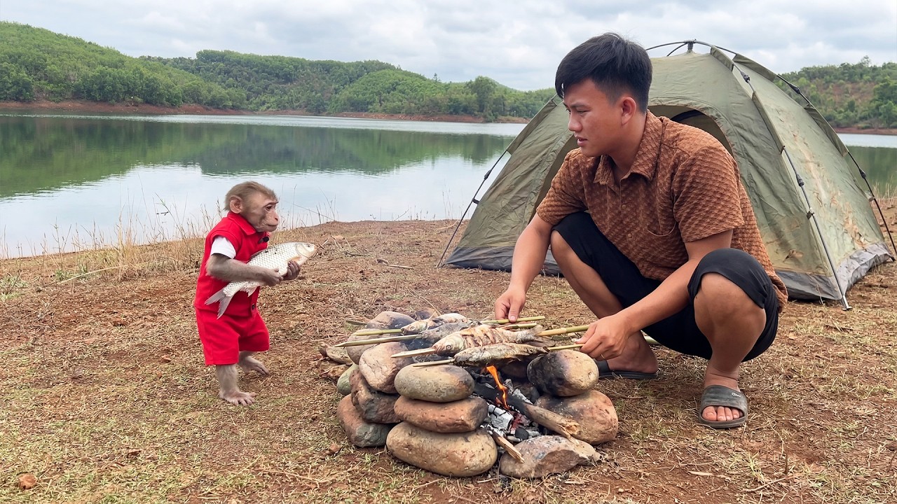 Peaceful Lakeside Camping with Monkey Bon | Fishing & Relaxing