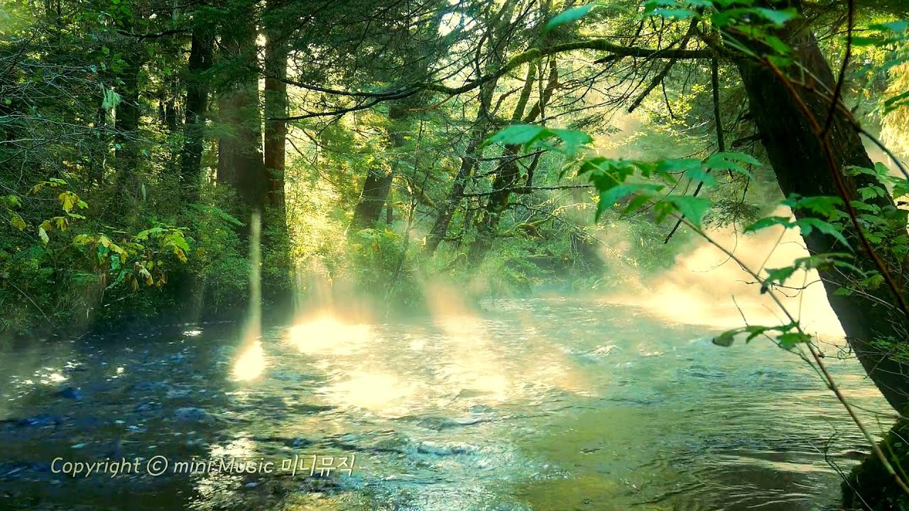 숲속 물소리 | 피아노 찬양 (6시간) | Forest River Sounds Piano Worship | 찬양 묵상 by 미니뮤직