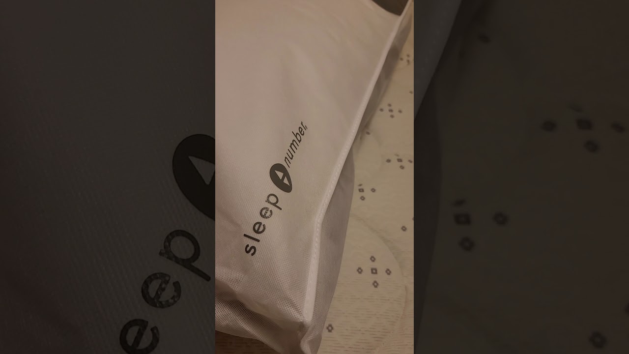 Sleep Number Plush Comfort Pillow review.