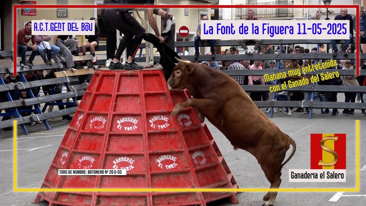 La Font de la Figuera 11 ◾  05 ◾ 2025 Ganadería el Salero