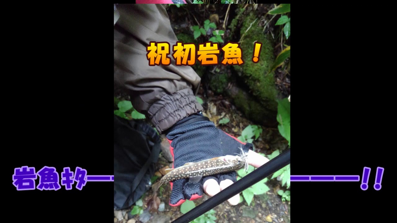 2020 07 05　sanbucchanが来たっ！