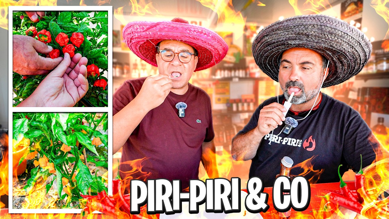 FUI VISITAR O MEU PRODUTOR DE PIRIPIRI & CO
