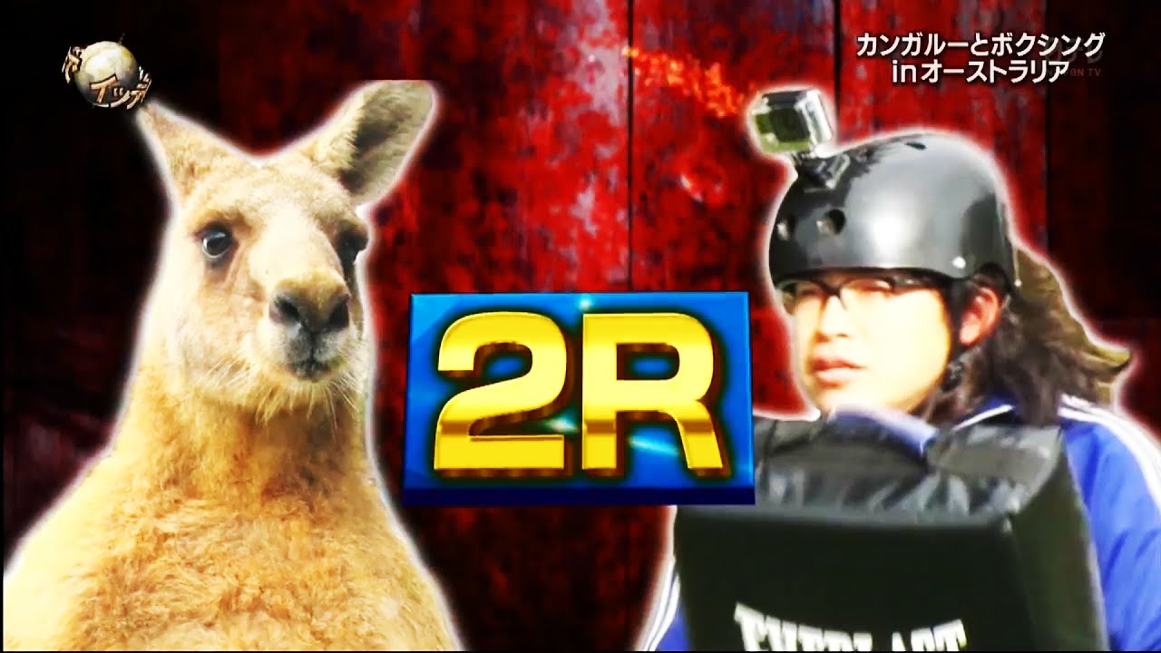 カングー君とのスリリングな対決！中岡の挑戦