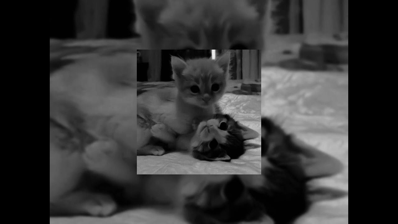 Khalid - Saturday nights (sped up)