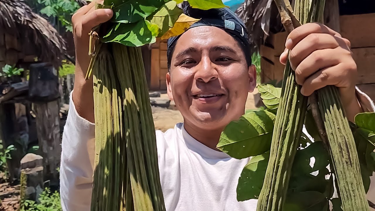 As&iacute; se disfruta en la selva de las ricas guabas 😋🌴🫒🍒🍓🍍👏