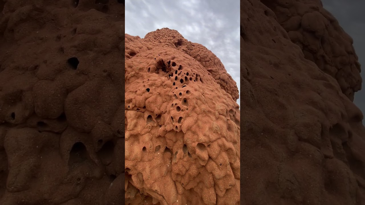 Australia Termite Mound - Cape Range National Park - what a delight! 