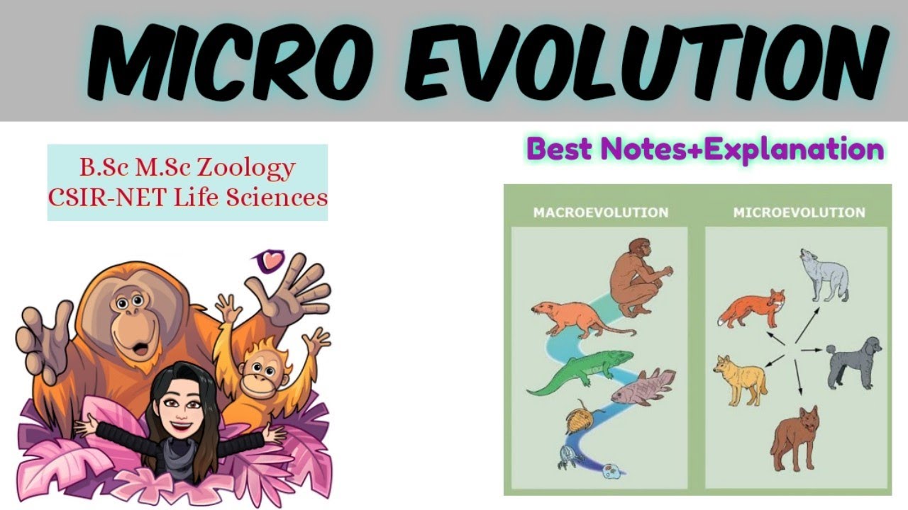 Micro Evolution-Best Notes & Explanation | M.Sc B.Sc Zoology |CSIR NET life sciences|macro evolution