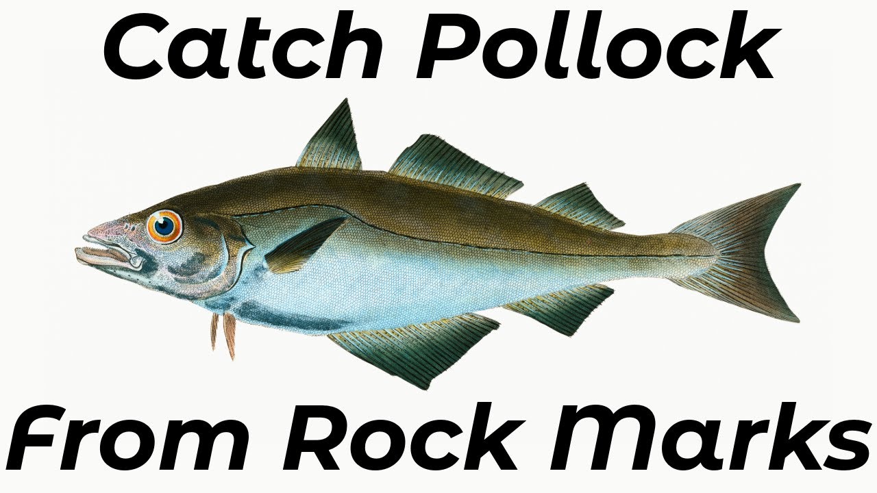 How To Catch Pollock From Rock Ledges (Shore Fishing UK and Europe) - Sea Fishing Tutorial