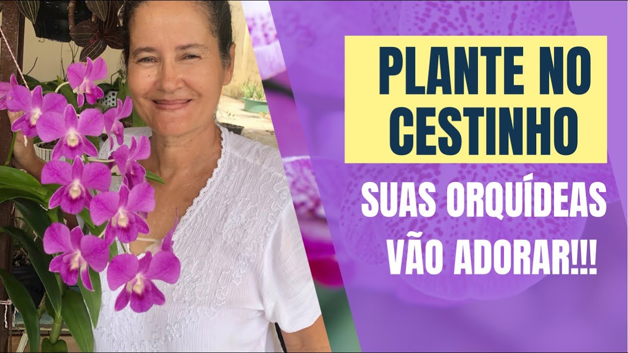 como plantar orquídea denphal no cestinho de lixo.