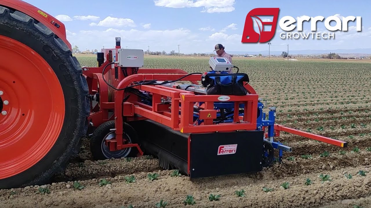 Ferrari Remoweed Weeder - Simple, reliable, powerful