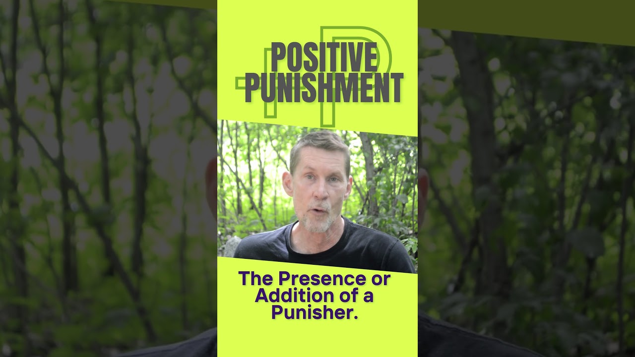 Positive Punishment? #dogtraining #Dogs #positivereinforcementdogtraining