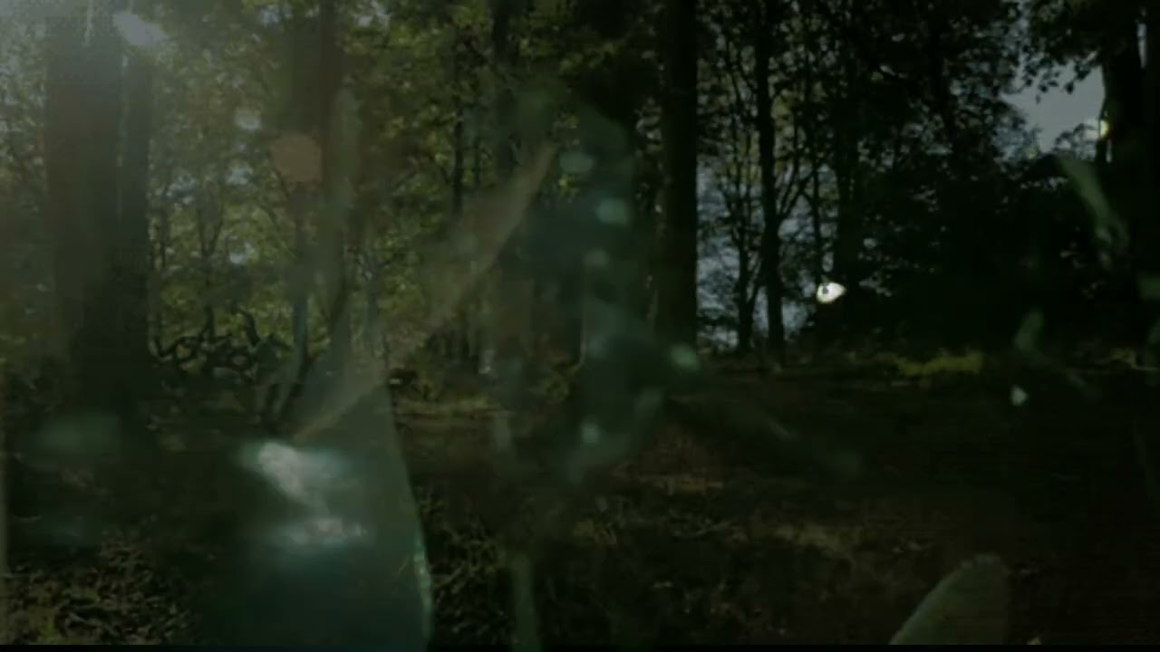 Robotiko Rejekto - I Don't