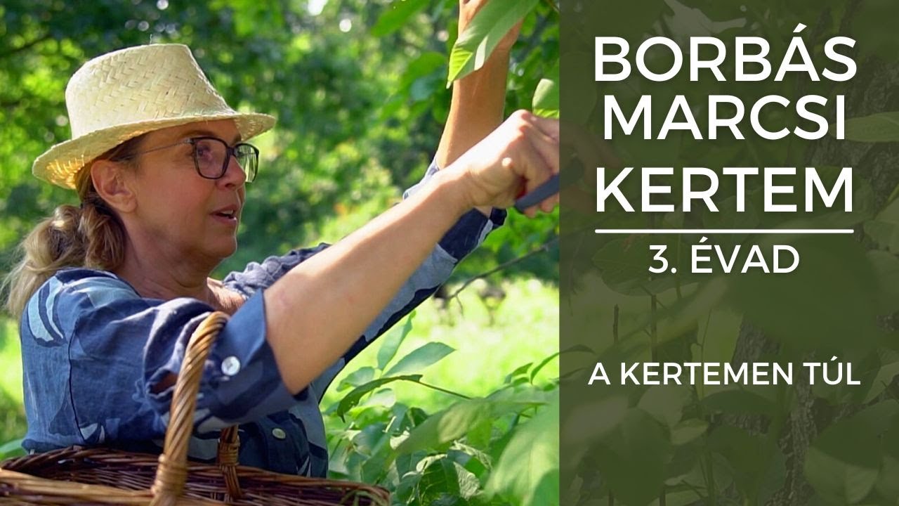 Borbás Marcsi - Kertem: A kertemen túl