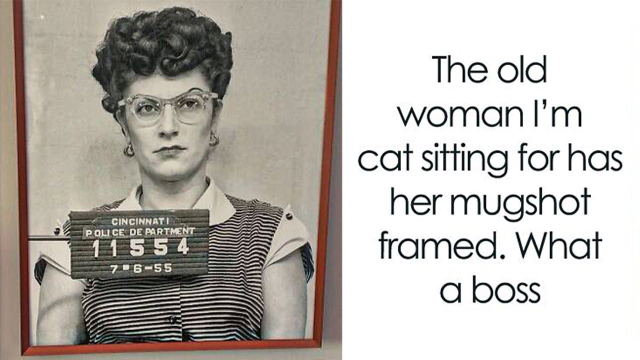 Memes That Might Be Perfect for Fans of ‘Women’s Humor’ (New)
