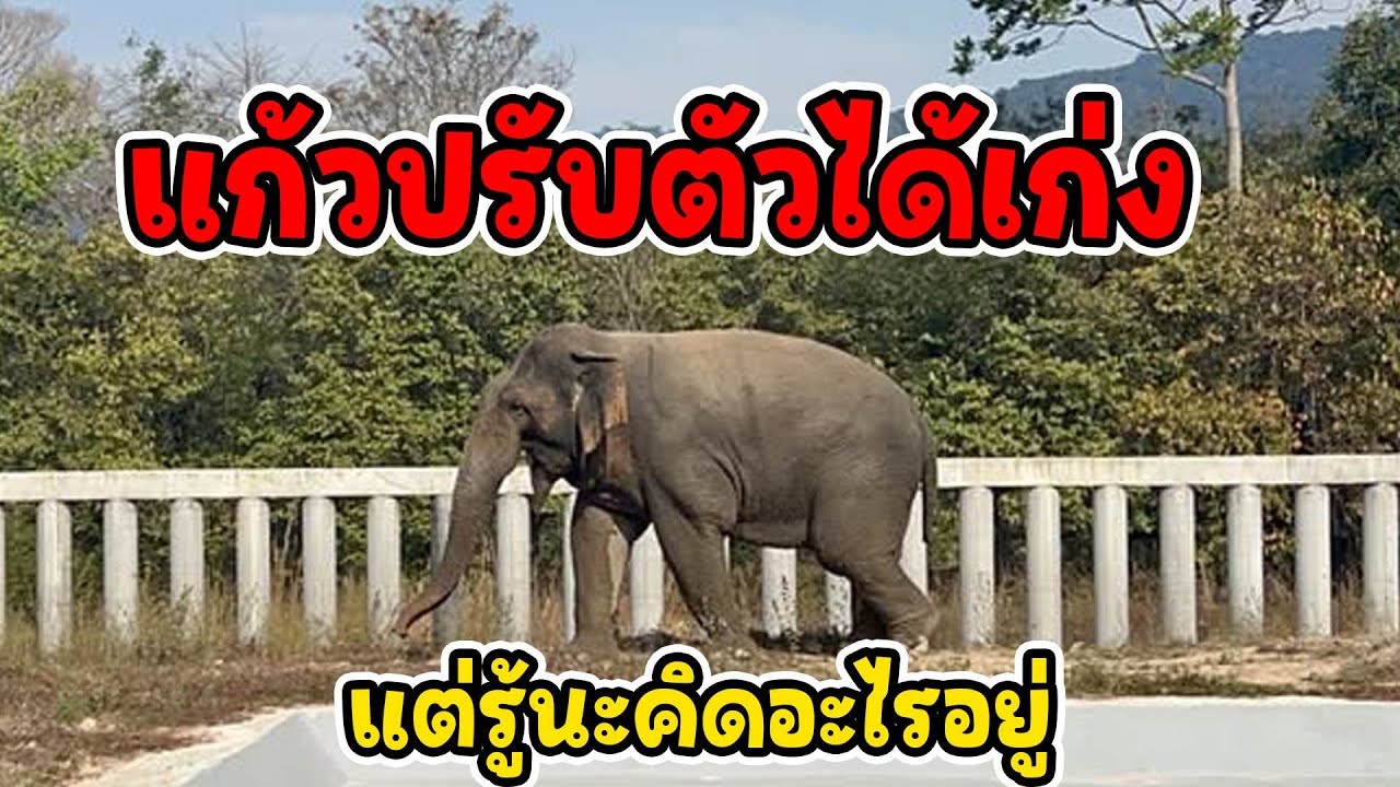 👉 หลายคนเป็นห่วง…แก้วอินดี้เป็นยังไงบ้าง? วันนี้มีคำตอบ /วัคซีนคุมกำเนิดเริ่มต้นแล้วที่ บ่อไร่