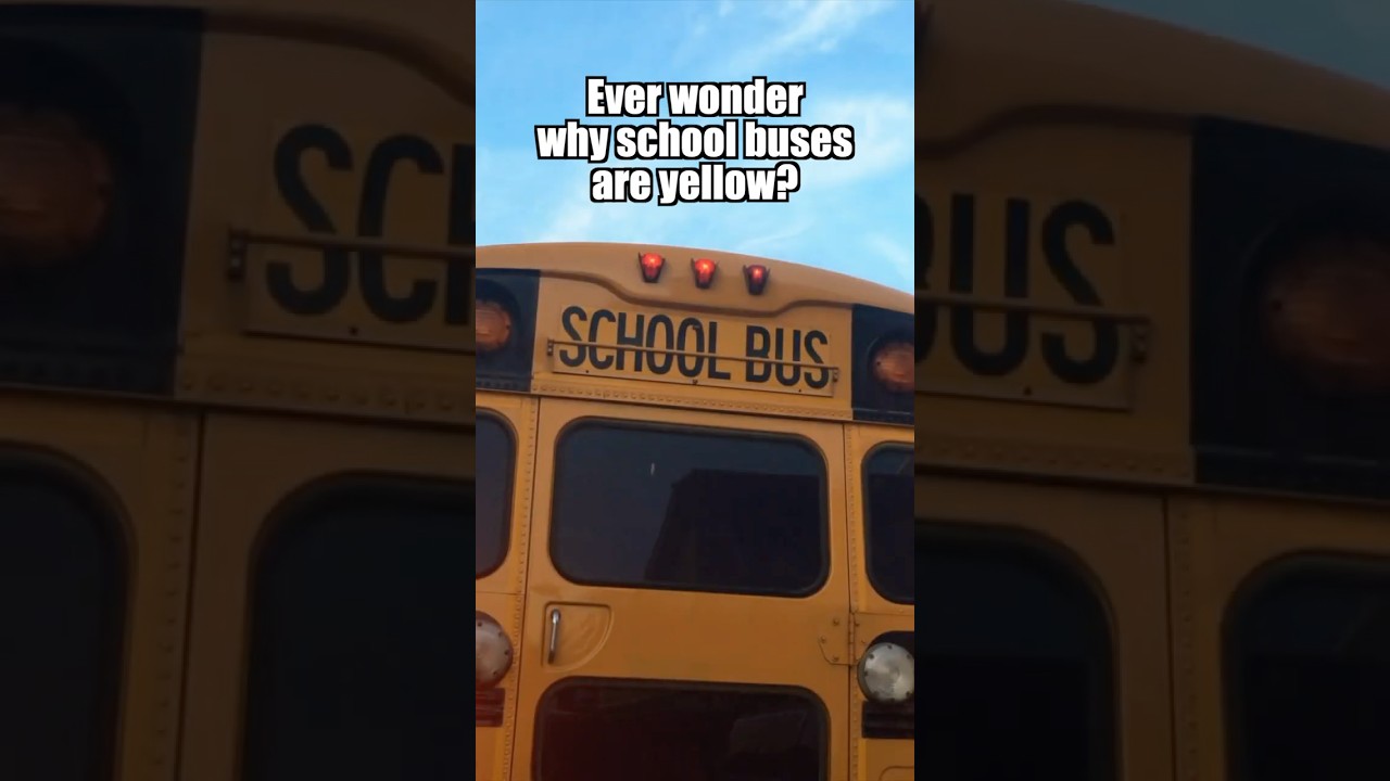 Why Are School Buses Yellow?