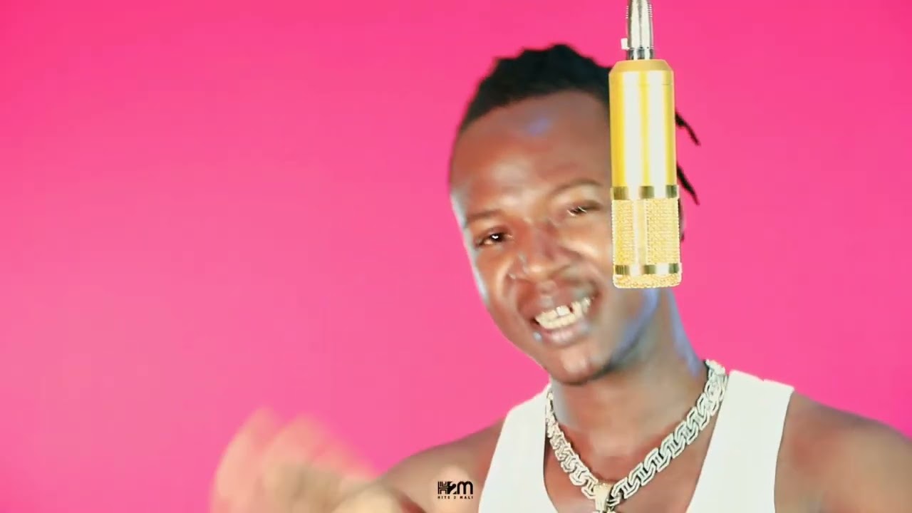 Dayi B - Sangawili Freestyle  (Clip)  by Hits2mali Music