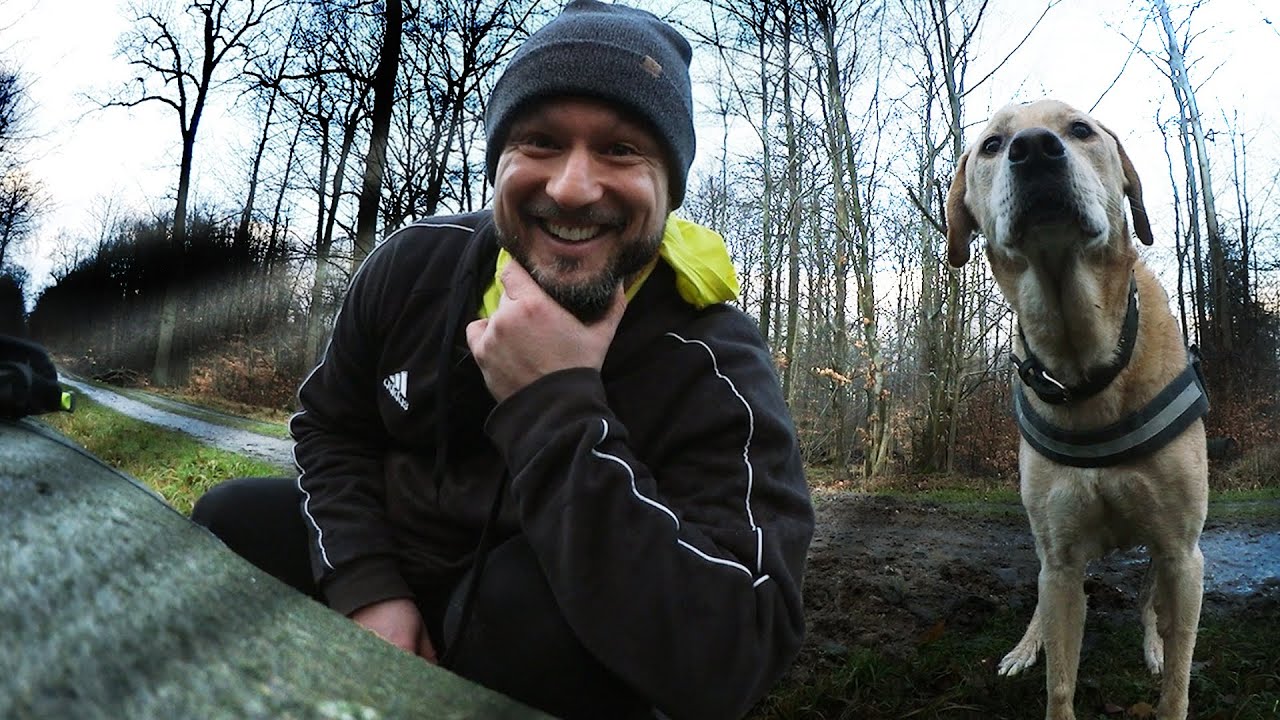 TEST: GOPRO FETCH HUNDEGESCHIRR mit GoPro Hero 9 und Rocky